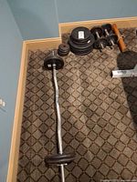 Overall view showing EZ curl bar, dumbbell bars, and plate stacks