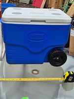 Front view of blue cooler with wheels and tape measure indicating width