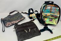 Overview showing Victoria's Secret pouch, brown crossbody purse, iridescent mini backpack with plush toy