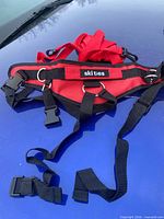 Harness front with straps and buckles visible