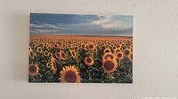 Front view of sunflower field canvas print hung on wall
