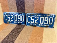 Both license plates front view