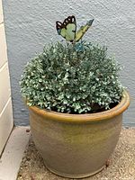 Full view of ceramic planter with artificial shrub and butterfly stake