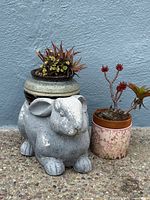 All items together: cement rabbit planter, glazed bowl with succulents on top, pink floral pot with succulent
