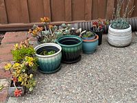 Group of planters showing sizes, colors and succulents