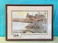 Front view of framed Paul Harpley duck lithograph print