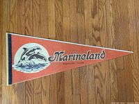 Full view of pennant on wood floor