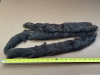 Full view of mink stole laid out beside tape measure showing length ~35 in.