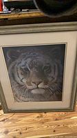 Framed tiger print full view showing image, mat and frame