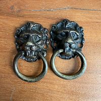Front view showing both brass lion head knockers with rings