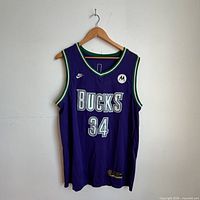 Front view of purple Milwaukee Bucks number 34 jersey on hanger