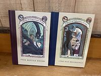 Front covers of both hardcover books