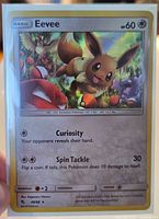 Front view of sleeved Eevee Hidden Fates holo card