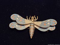 Front view showing enamel coloration and overall design