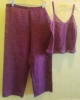 Full view of matching sheer camisole and pants hanging