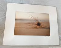 Front view of matted photograph showing image, mat board, and signature