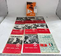 All ten Boy Scout pamphlets arranged on table