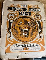 Front cover showing title, tiger illustration, and publisher