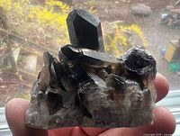 Front view of smoky quartz cluster showing prismatic points and matrix