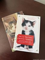 Front covers of both cat-themed paperback books