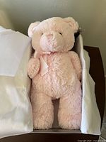 Pink Baby GUND teddy bear inside box