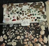 Overview of entire collection on black and white backgrounds with measuring tape