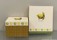 Binder and box front view showing matching citrus design