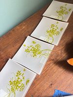 All four plates aligned on table showing overall design