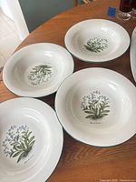 Four bowls displayed to show overall design and quantity