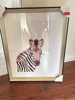 Front view of framed zebra print with protective corners