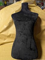 Front view of black velvet torso mannequin