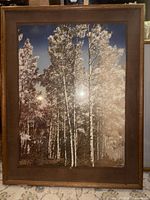 Framed painting showing entire composition of trees within wood frame