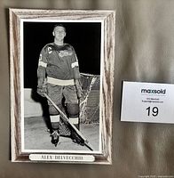 Front view of Beehive photo showing player image, border design and caption