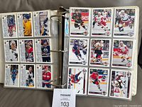 Binder open displaying multiple pages of cards