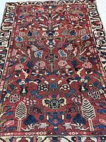 Full rug showing complete Tree of Life design and borders