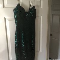 Full view of green sequin evening gown hanging on door
