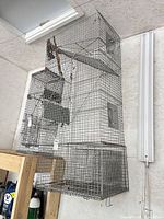 Full view of hanging wire cage trap showing size and door mechanism