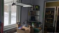 LED grow light hanging over countertop with assorted garden items