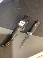 Knife and sheath full view