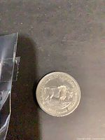 Obverse view showing buffalo design and rim text