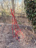 tall abstract red metal trellis sculpture in mulch bed