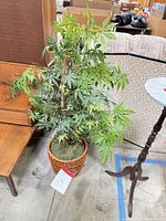 Full view of artificial Japanese maple tree in wicker basket planter