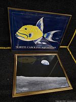 Both framed prints: fish illustration and Earthrise photo