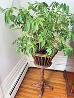 Full view of wooden plant stand with plant for scale
