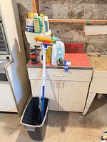Overview of trash can, mop, bucket filled with cleaners on cabinet