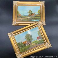 Both framed paintings overview