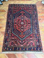 Full view of rug showing pattern and colors