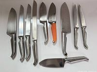 All ten knives laid out showing blade styles and handles