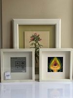 Three frames: rectangular botanical print, square floral print, new RIBBA frame