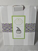 Front of original Scentsy box showing product name and illustration